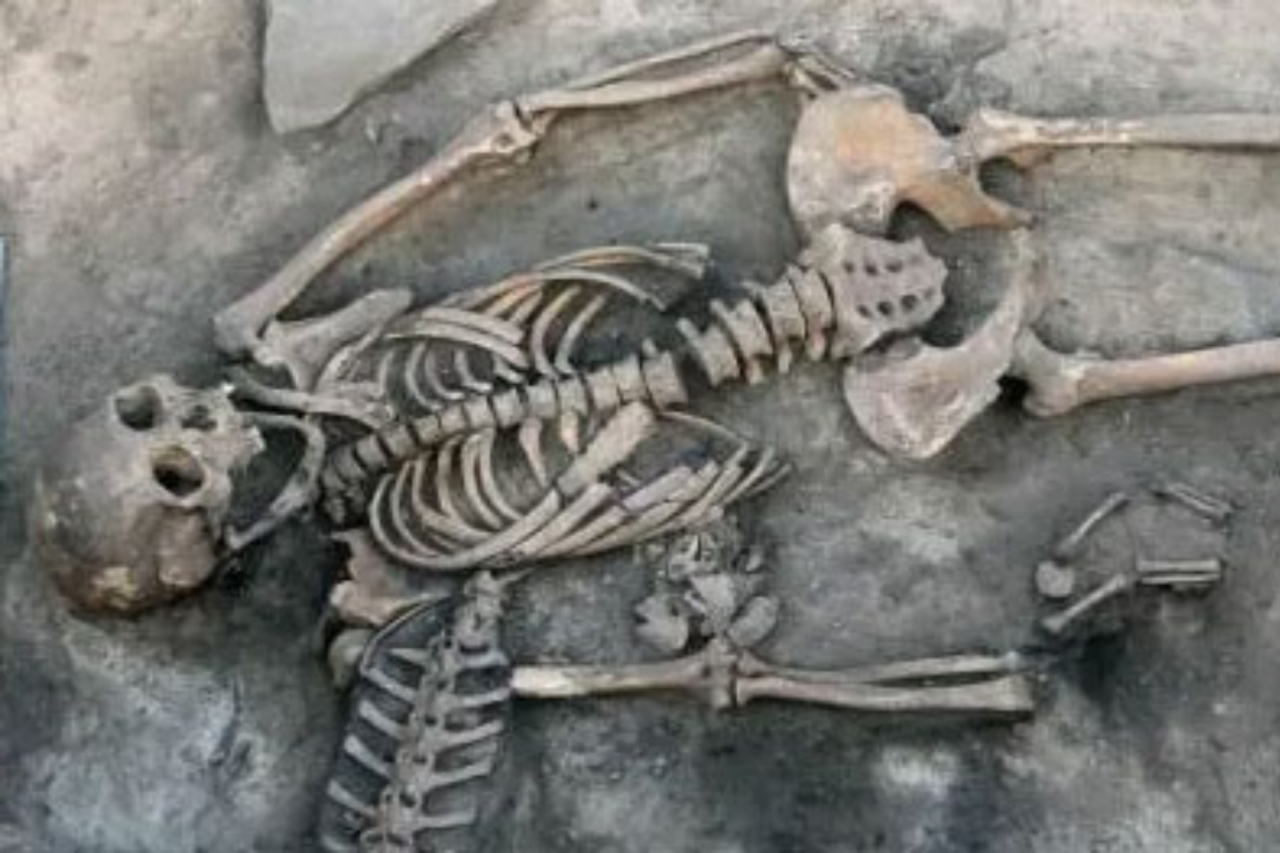 Sepultura medieval na Sibéria revela objetos raros e restos de animais 3 Sepultura medieval na Sibéria revela objetos raros e restos de animais