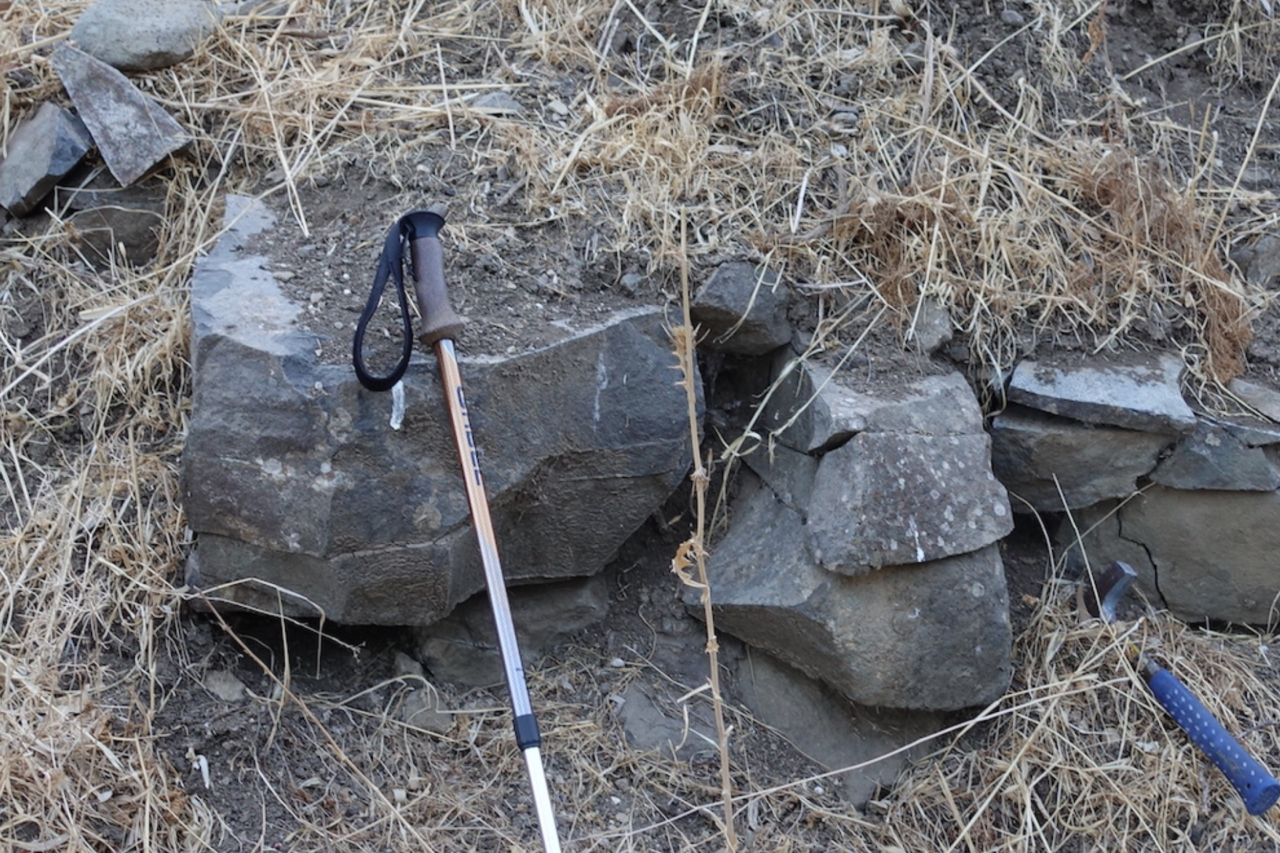 Ferramentas de quase 800 mil anos indicam planejamento técnico de hominídeos em Israel