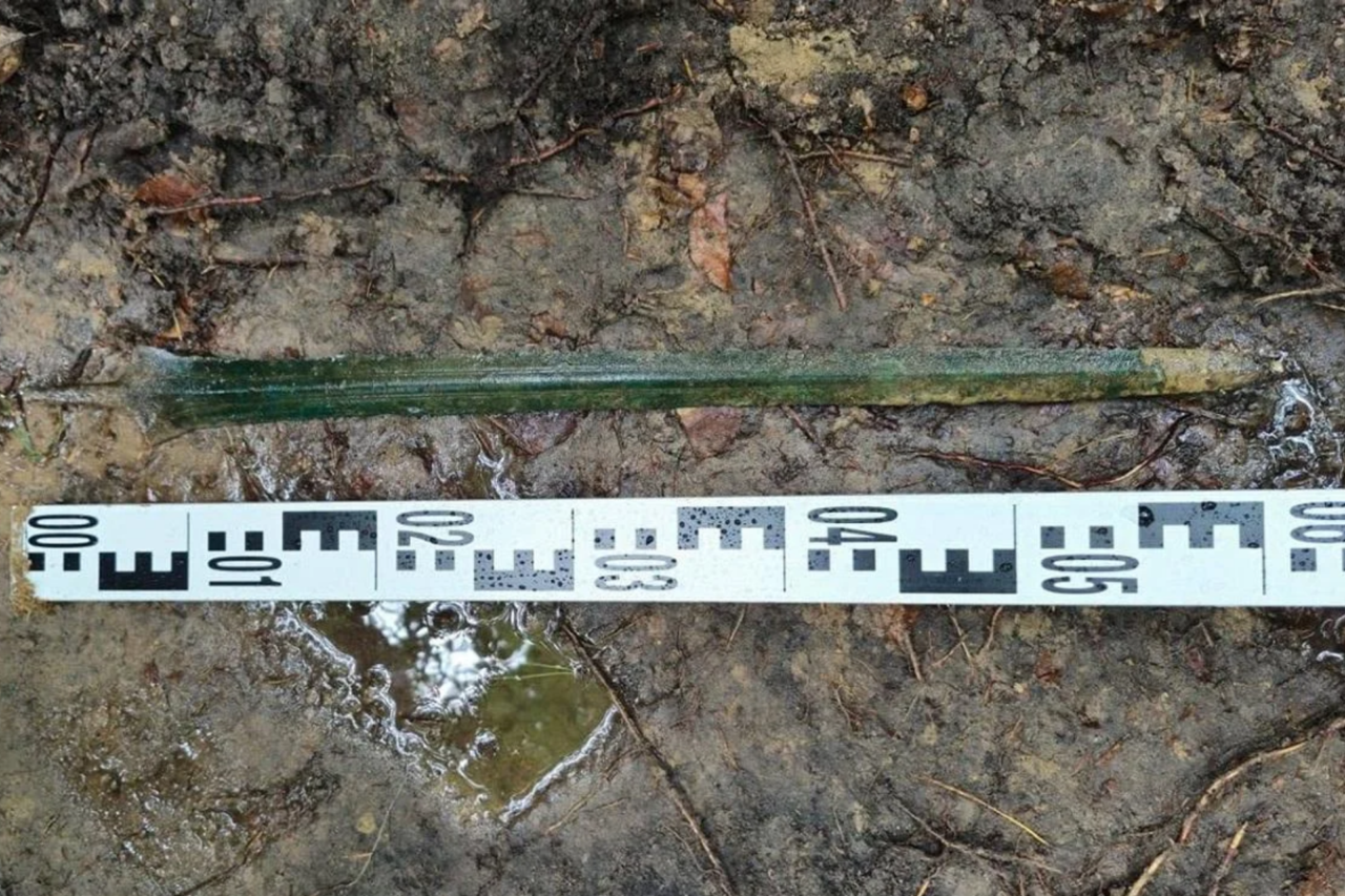 Espada de bronze de cerca de 2.700 anos é encontrada ereta em floresta perto de Gdańsk e pode ser oferta ritual