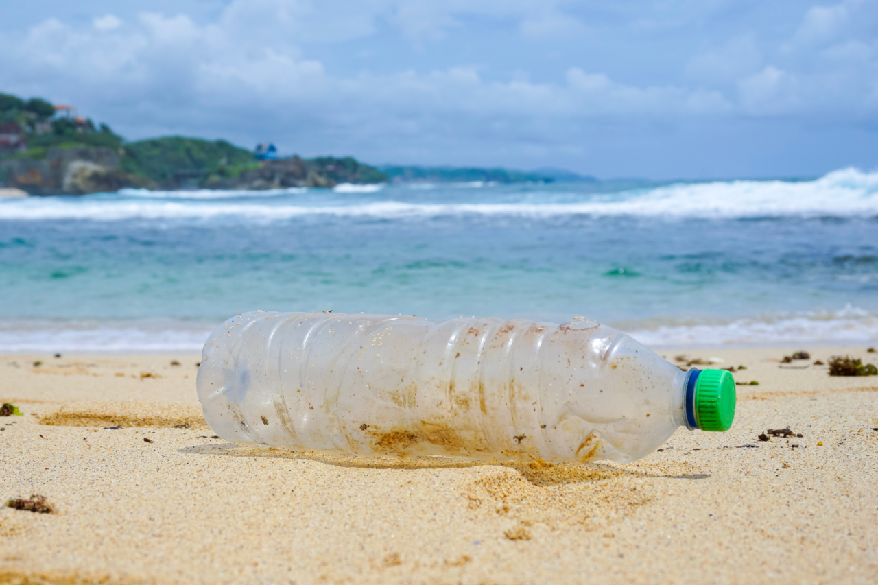 Relatório da ONU alerta para avanço da crise ambiental nos oceanos 1 Relatório da ONU alerta para avanço da crise ambiental nos oceanos