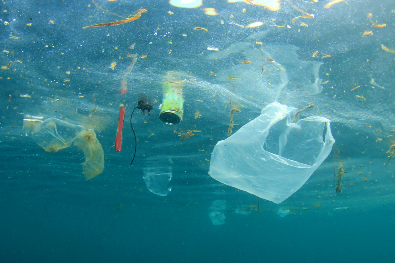 Relatório da ONU alerta para avanço da crise ambiental nos oceanos 3 Relatório da ONU alerta para avanço da crise ambiental nos oceanos