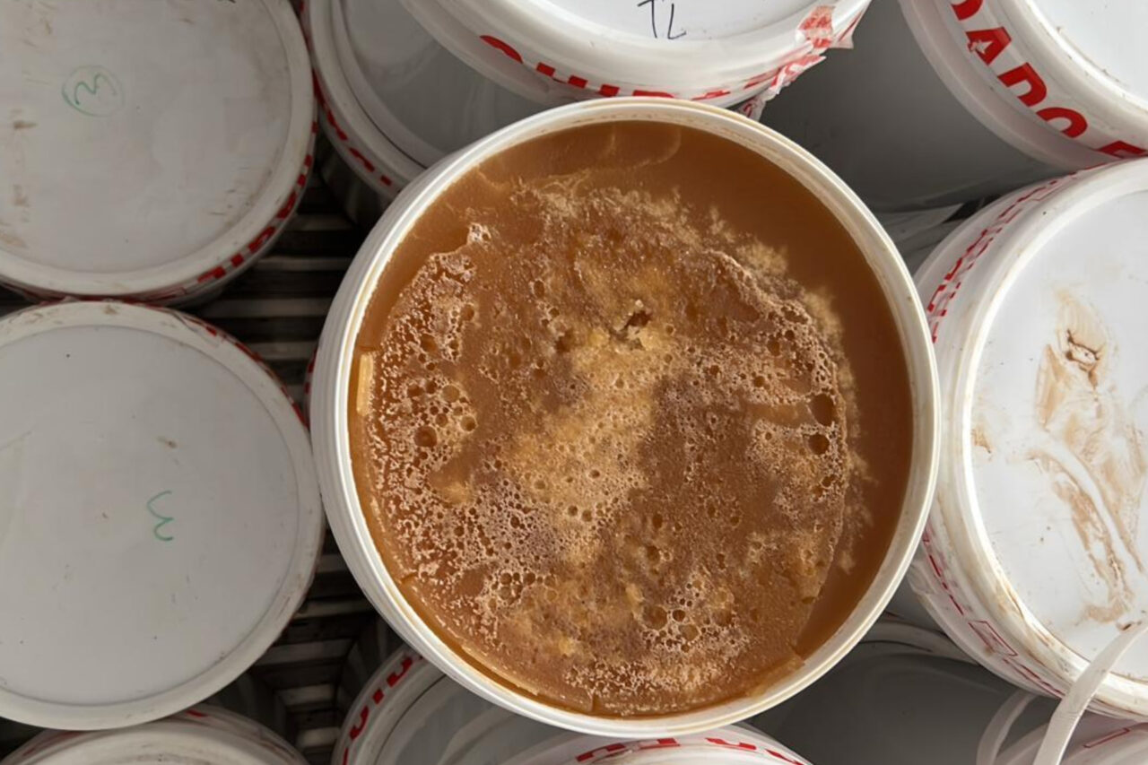 Carga de mais de 8 toneladas de mel e cera de abelha é apreendida pela PF em Flor da Serra do Sul 1 hnn78