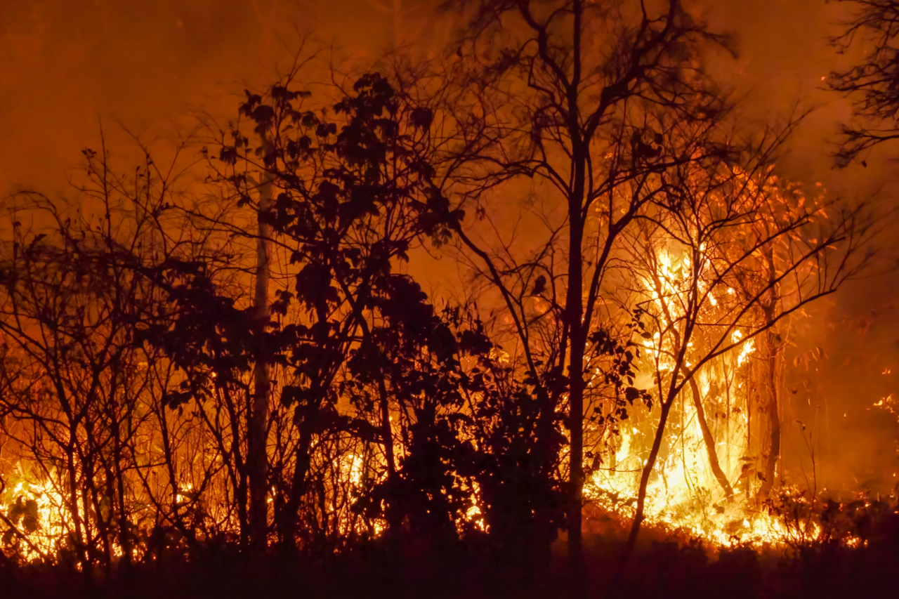 Queimadas aumentam 87,5% em maio no Acre, aponta Inpe 9 Acre registrou 15 focos de queimadas em maio, alta de 87,5% em relação ao mesmo mês do ano passado, segundo dados do Inpe