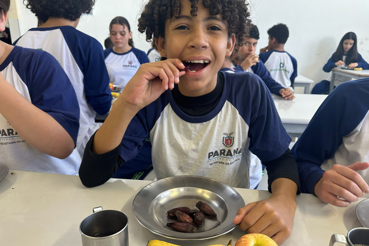 Pinhão passa a integrar cardápios da alimentação escolar da rede estadual no Paraná 3 Pinhão passa a integrar cardápios da alimentação escolar da rede estadual no Paraná