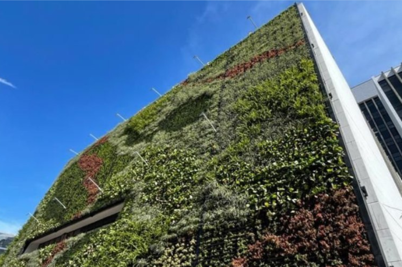 Projeto de arborização reduz temperatura em até 3°C em áreas de Medellín 9 Programa Corredores Verdes reúne cerca de 880 mil árvores e 2,5 milhões de plantas para reduzir o calor e melhorar a qualidade ambiental em Medellín