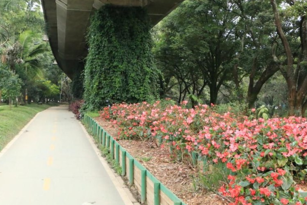 Projeto de arborização reduz temperatura em até 3°C em áreas de Medellín 3 Programa Corredores Verdes reúne cerca de 880 mil árvores e 2,5 milhões de plantas para reduzir o calor e melhorar a qualidade ambiental em Medellín