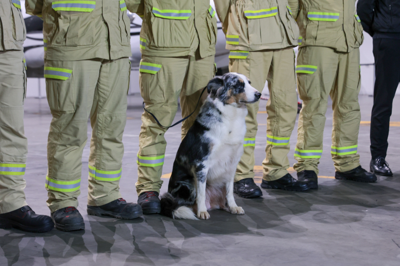 Bombeiros do Paraná seguem para missão de busca e resgate após terremoto na Venezuela 4 Dez bombeiros militares, dois cães de busca e quatro toneladas de equipamentos do Paraná integrarão a missão brasileira de resgate em áreas atingidas pelo terremoto na Venezuela