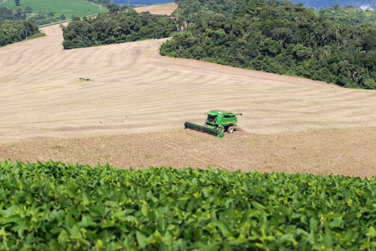 Dados preliminares do Deral mostram que o Valor Bruto da Produção agropecuária do Paraná passou de R$ 98 bilhões em 2019 para R$ 212,6 bilhões em 2025