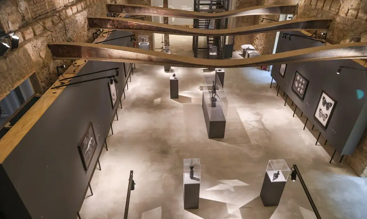 Museu Nacional inaugura duas exposições em comemoração aos 208 anos 1 rescaldo das memorias foto diogo vasconcellos