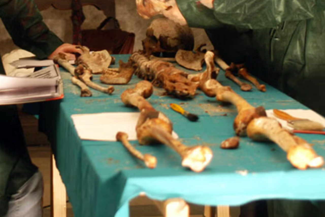 DNA antigo confirma malária em restos mortais da família Medici e ajuda a encerrar mistério histórico 1 DNA antigo confirma malária em restos mortais da família Medici e ajuda a encerrar mistério histórico