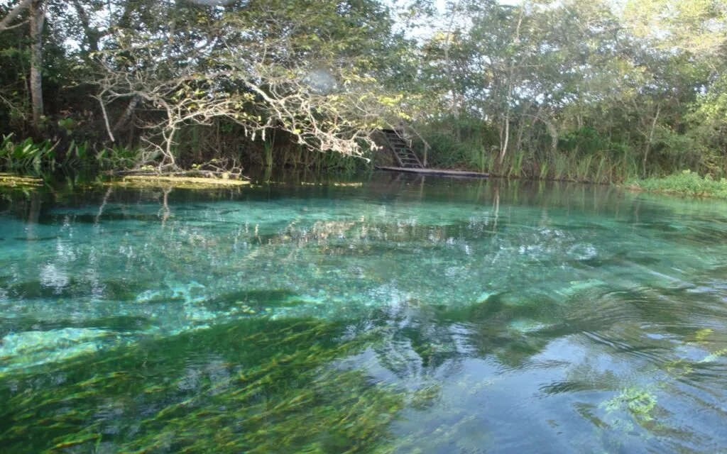 Rio Sucuri Bonito MS