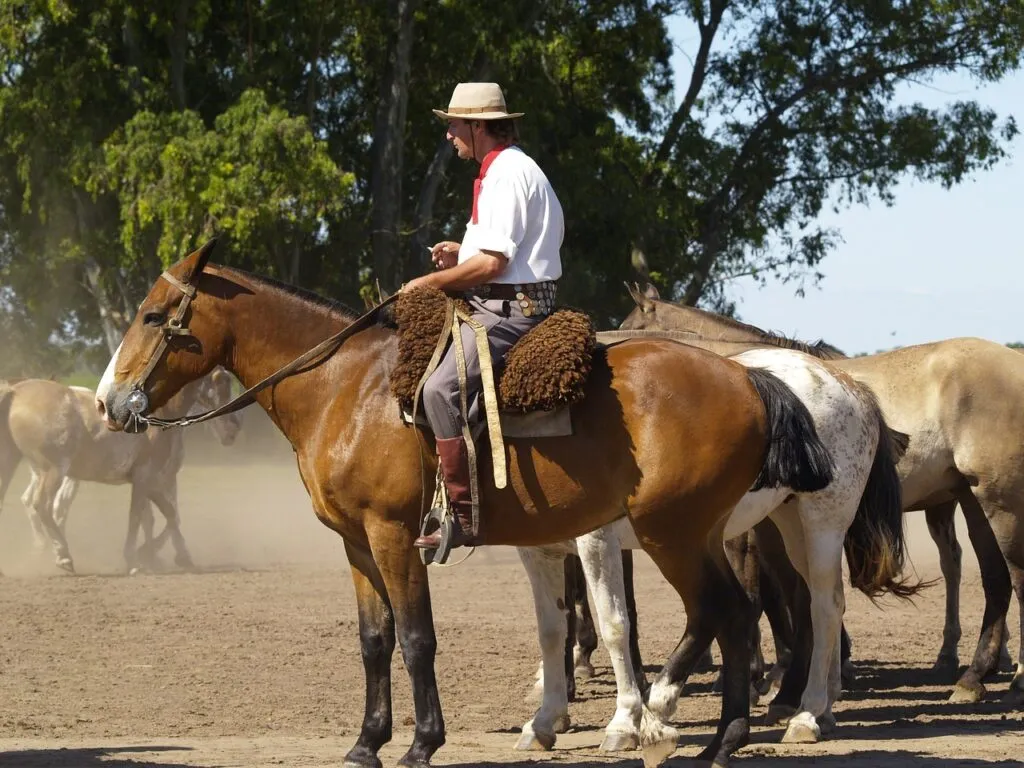 dia do gaucho 5