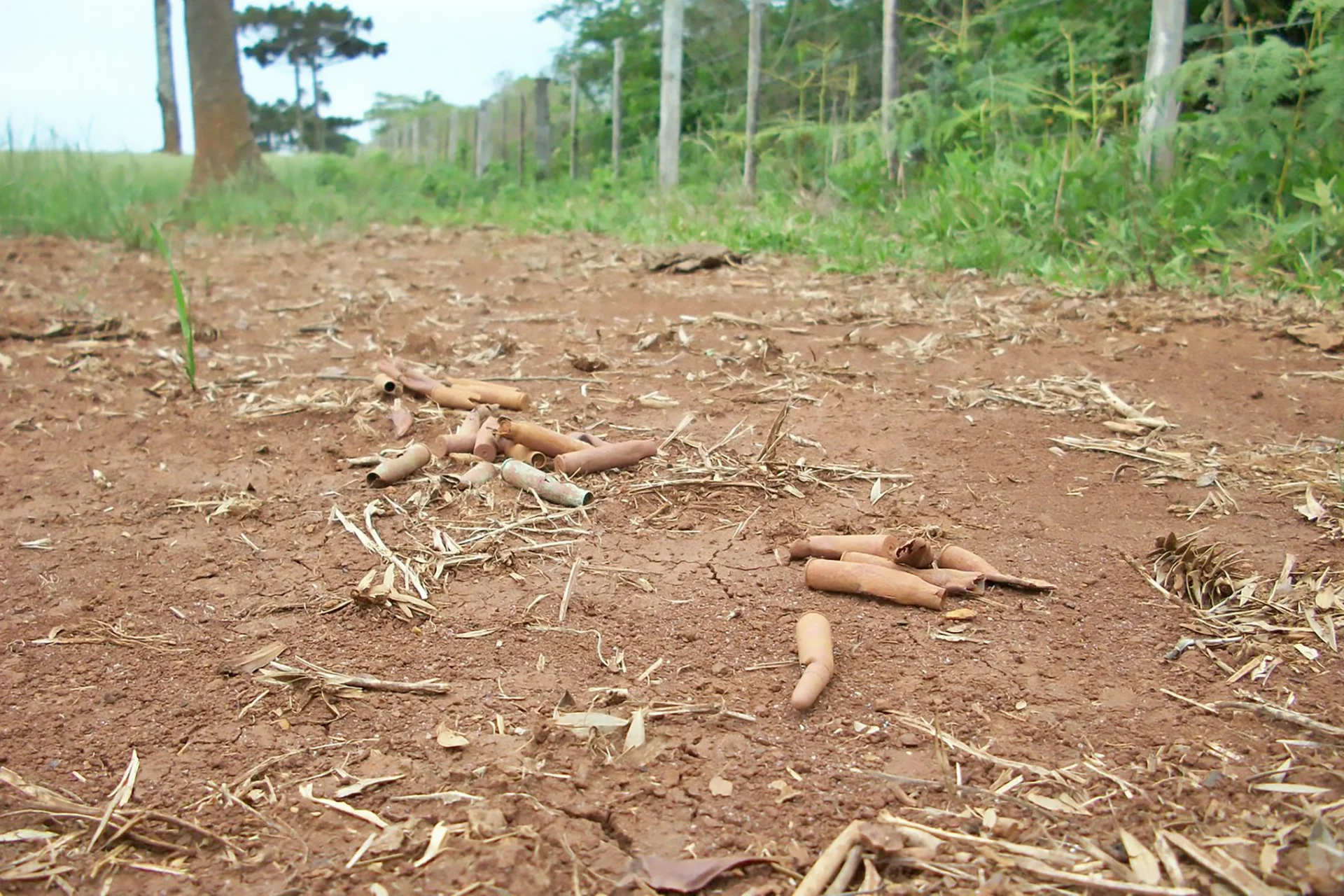 Capsulas da batalha da coluna Prestes na linha Separação. Foto de Luiz Carlos Veroneze, 2009.