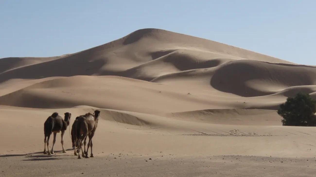 duna de areia 1