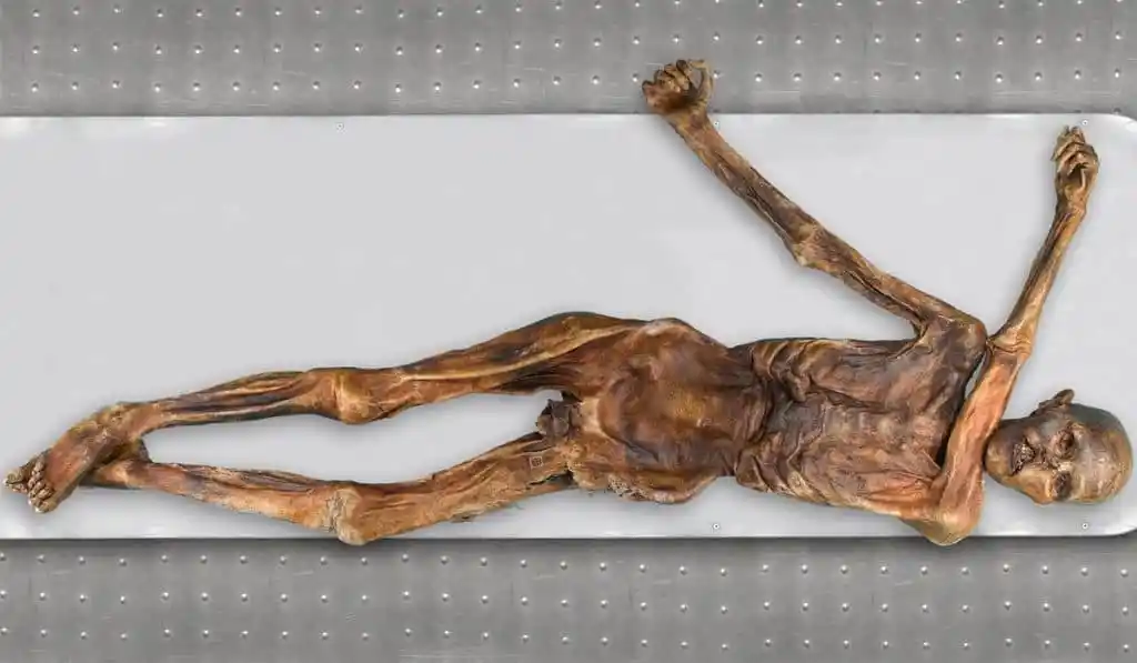 otzi 2