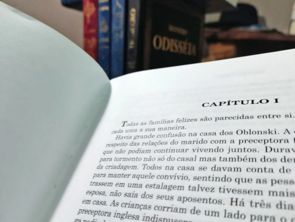 melhores comecos de livros 1