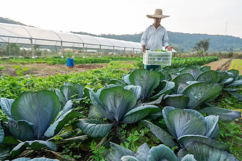 Agricultura