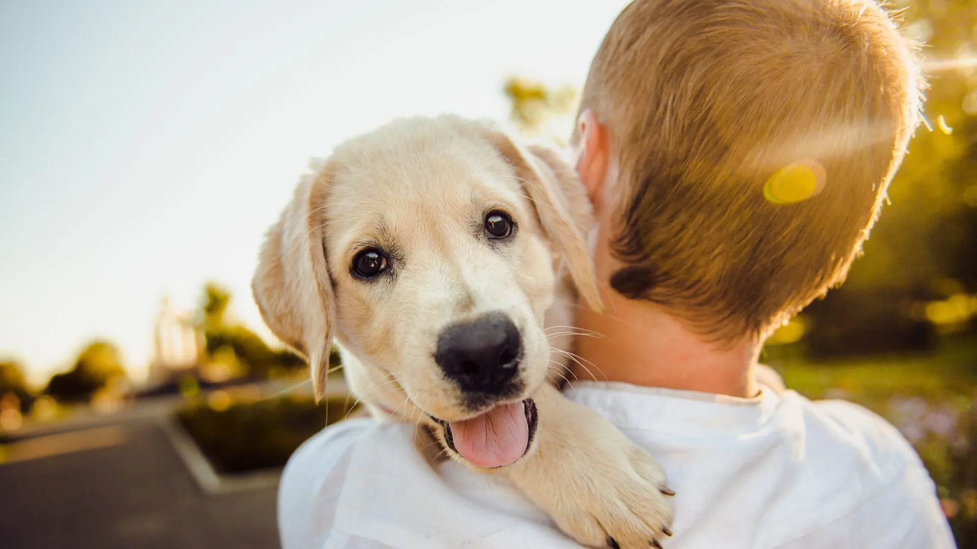 Criança com um cachorro no colo