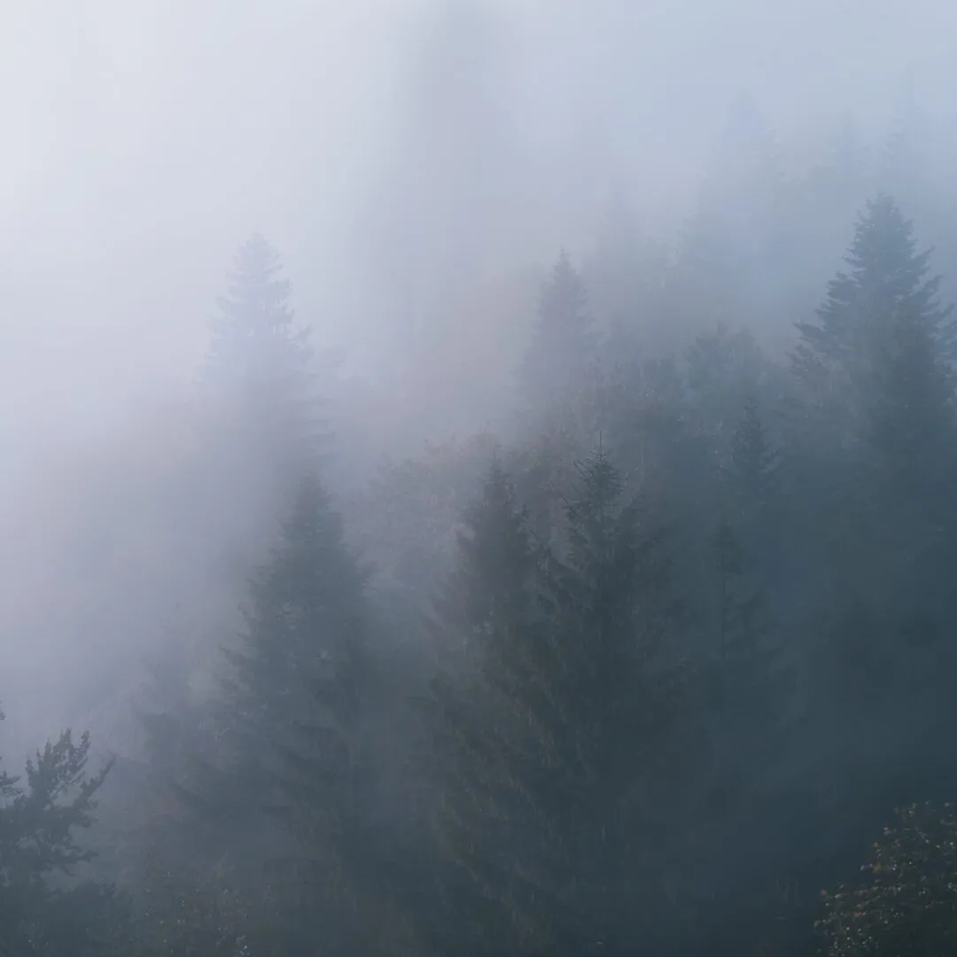 Modern Minimalist Glassmorphism Weather Quote Instagram Post
