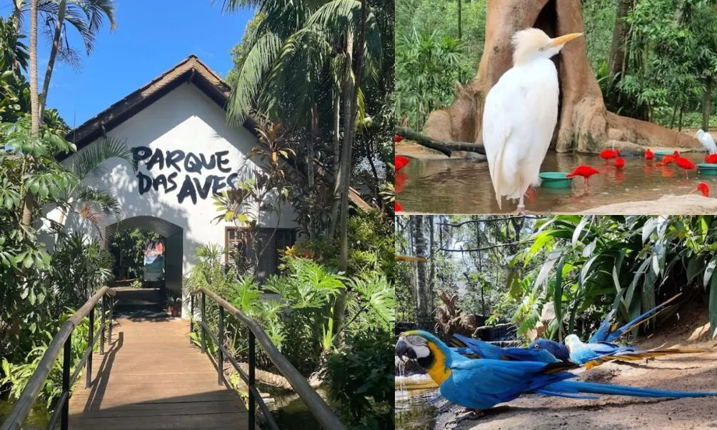 Os melhores passeios turísticos para sua família em Foz do Iguaçu