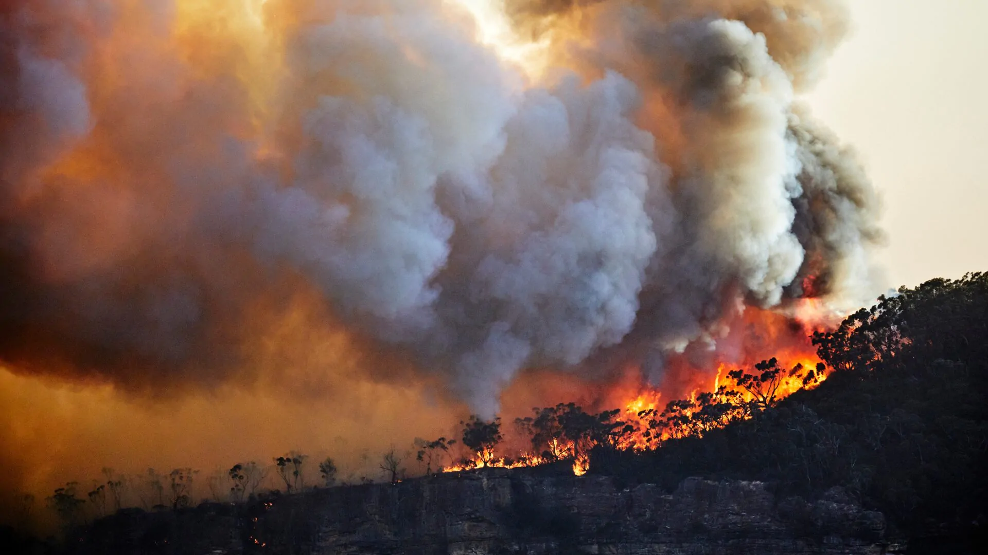 incêndios na Amazônia