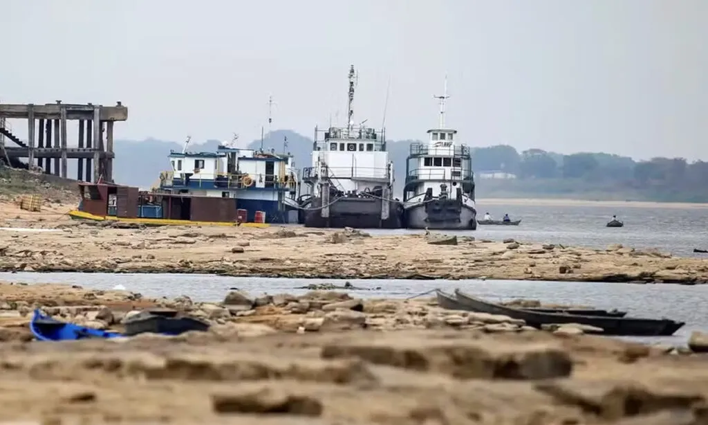 Nos primeiros 10 dias do mês de setembro de 2024, o Pantanal registrou 736 focos de incêndios, o número é o dobro de setembro inteiro do ano passado