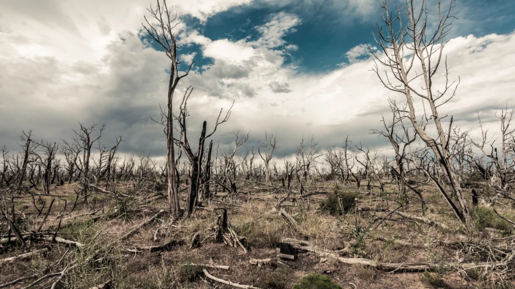 eventos climáticos