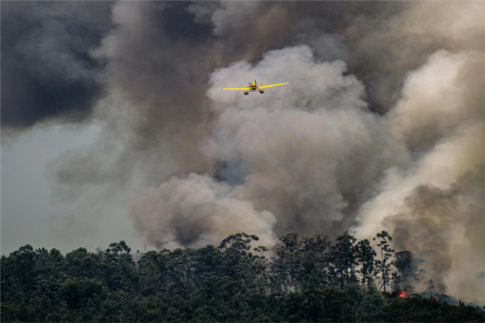 amazonia incendio