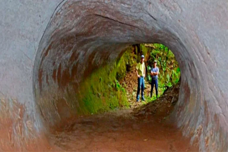 Paleotocas em SC: onde visitar, hospedagens e roteiros