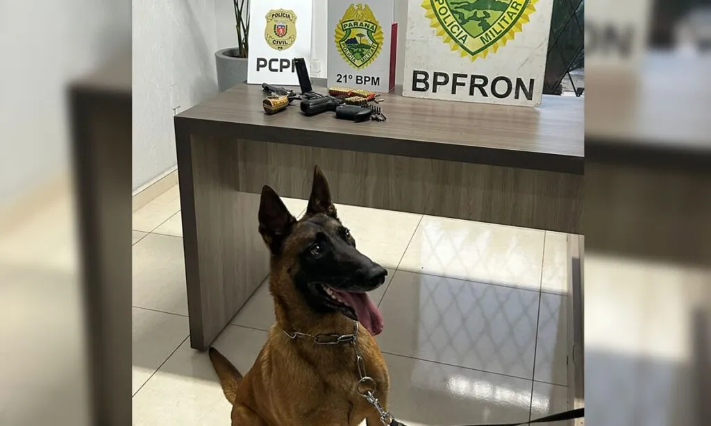 Homem é preso e armas são apreendidas em operação da polícia em Santo Antonio 1 n7 tjny