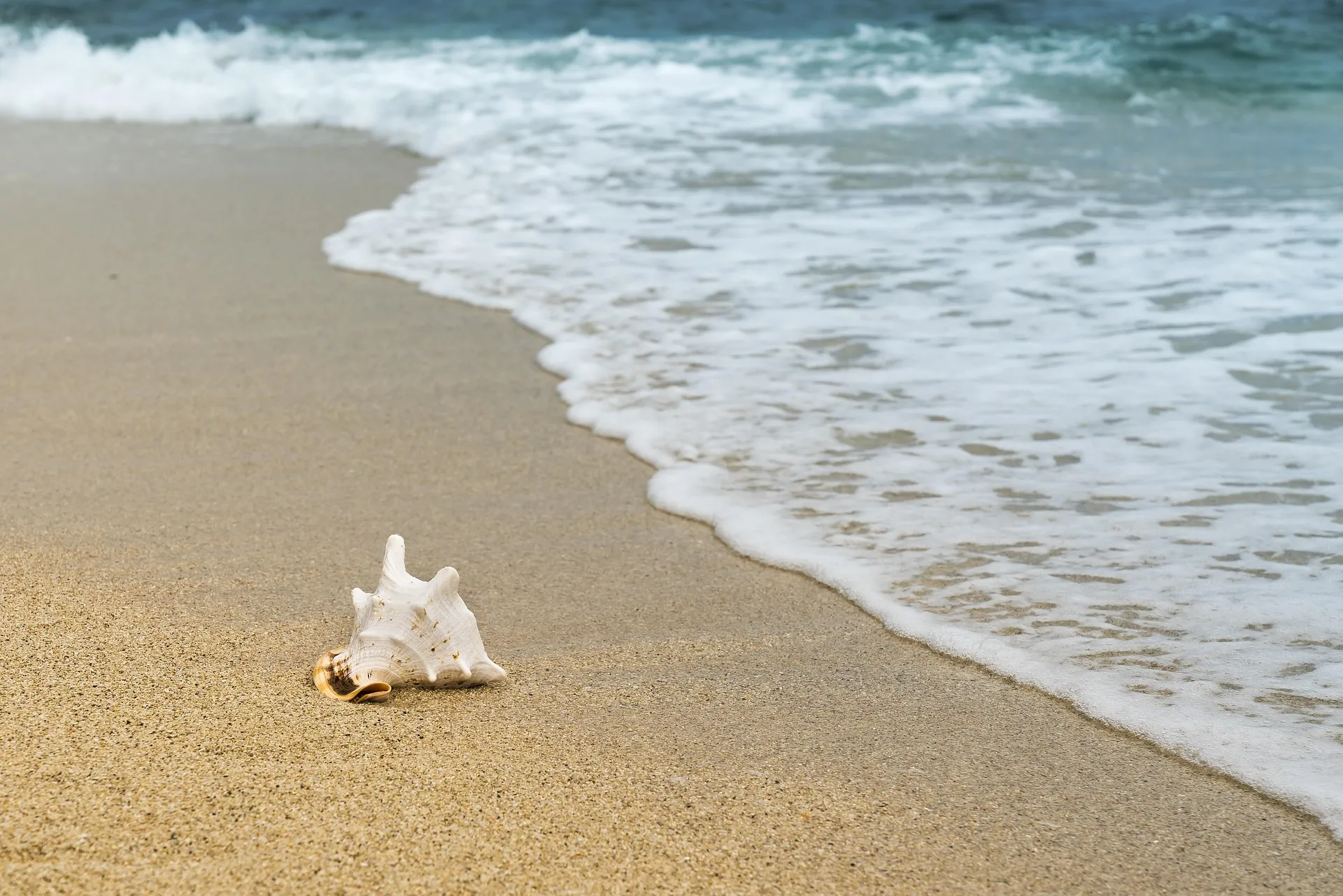 As 10 praias mais limpas de Santa Catarina para aproveitar suas férias em 2025