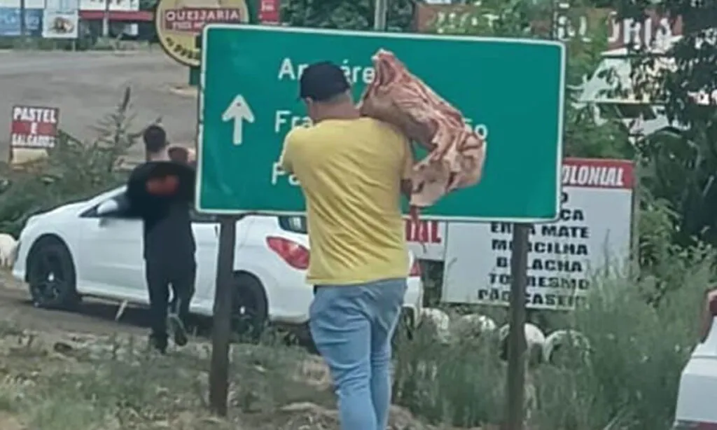 O caminhão transportava uma carga de carne e parte foi saqueada antes da chegada da polícia