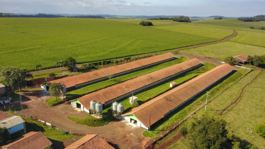 O Paraná investirá R$ 1 bilhão em créditos tributários pelo programa Paraná Competitivo em 2025, incentivando empresas, infraestrutura e sustentabilidade. Saiba como participar!