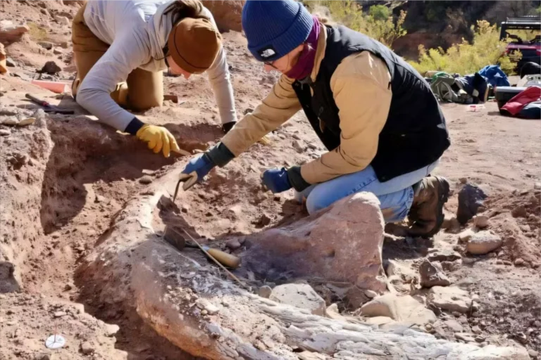 Caçador confunde tronco com algo inacreditável e faz descoberta pré-histórica