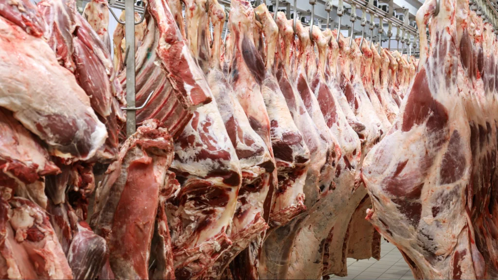 China suspende importação de carne bovina de três frigoríficos brasileiros por questões sanitárias. Setor agropecuário busca solução rápida. Saiba mais!