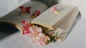 Livros para quem amou John Green