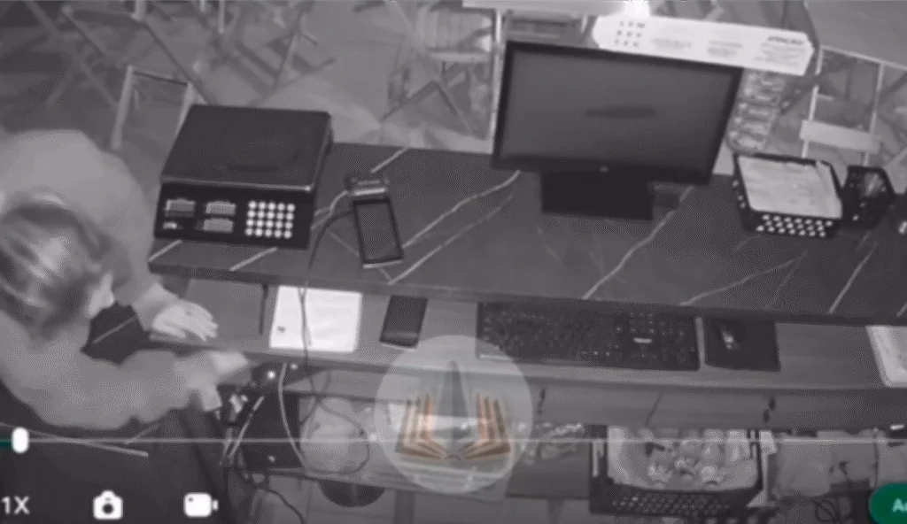 Autora de furto em sorveteria, é presa pela Polícia Civil em Dionísio Cerqueira