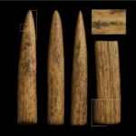 Encontrada uma curiosa arma construída pelos Neandertais há 80.000 anos