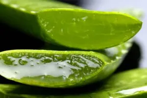 5 receitas caseiras com babosa para cabelo, pele, acne, cicatrização e hidratação profunda