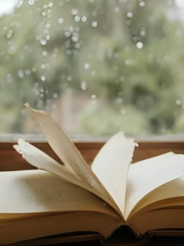 livros perfeitos para um fim de semana chuvoso
