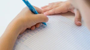 Santa Catarina dá primeiro passo para política estadual de educação em tempo integral