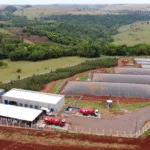 Paraná concede isenção de ICMS para produção de energia renovável e combustíveis sustentáveis