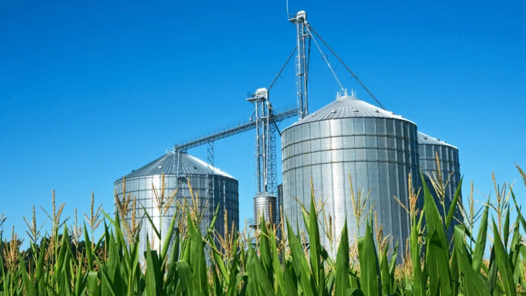 Governo do Paraná impulsiona agronegócio com nova regra para ICMS