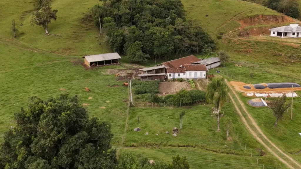 Os recursos são provenientes de linhas de financiamento e subvenção de juros voltadas ao apoio direto aos produtores