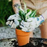 10 flores rústicas e divinas que atraem energia positiva e deixam seu jardim encantador