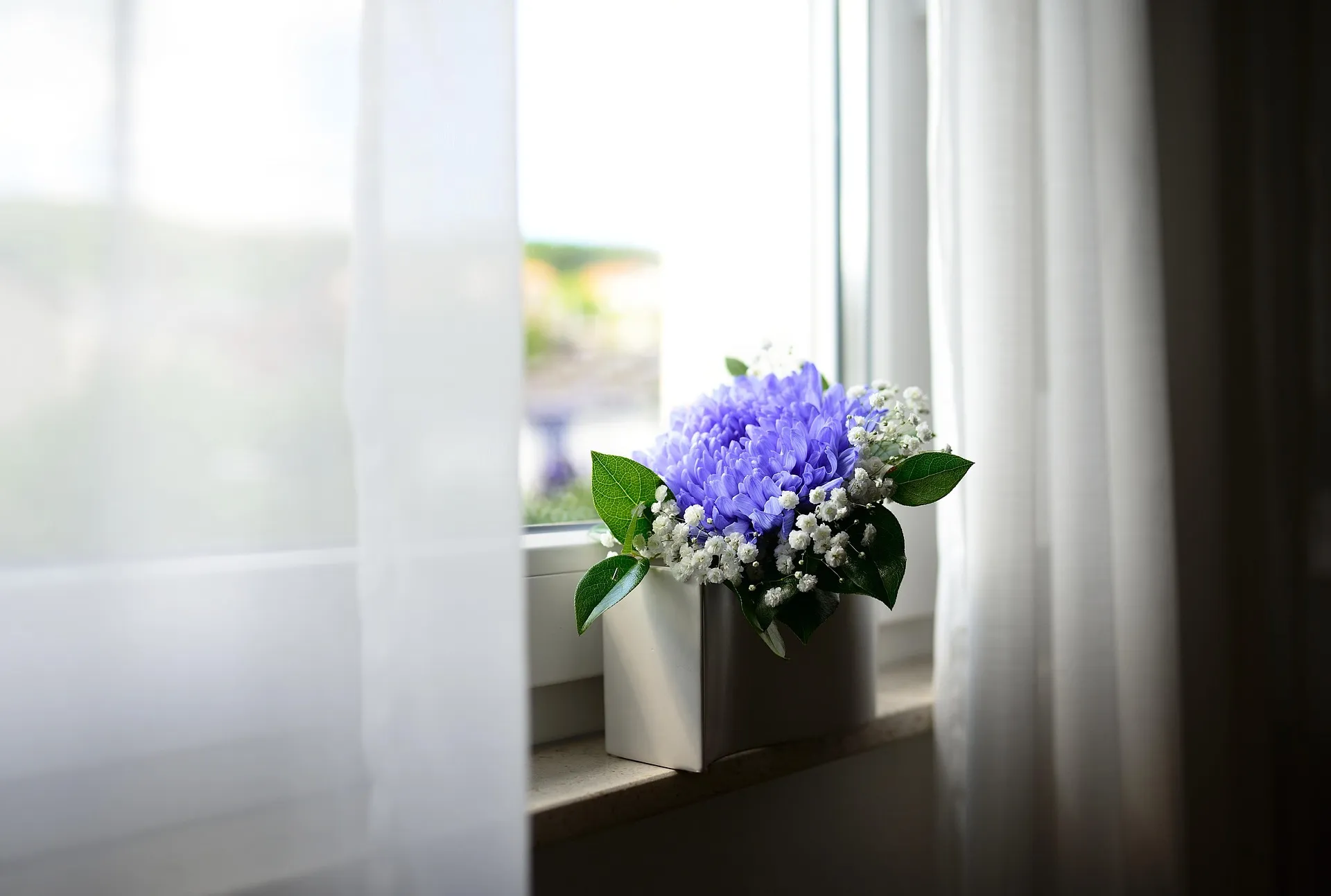 flores 1
