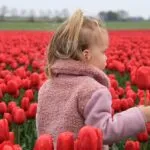 As 10 flores mais lindas do mundo e os segredos que as tornam únicas