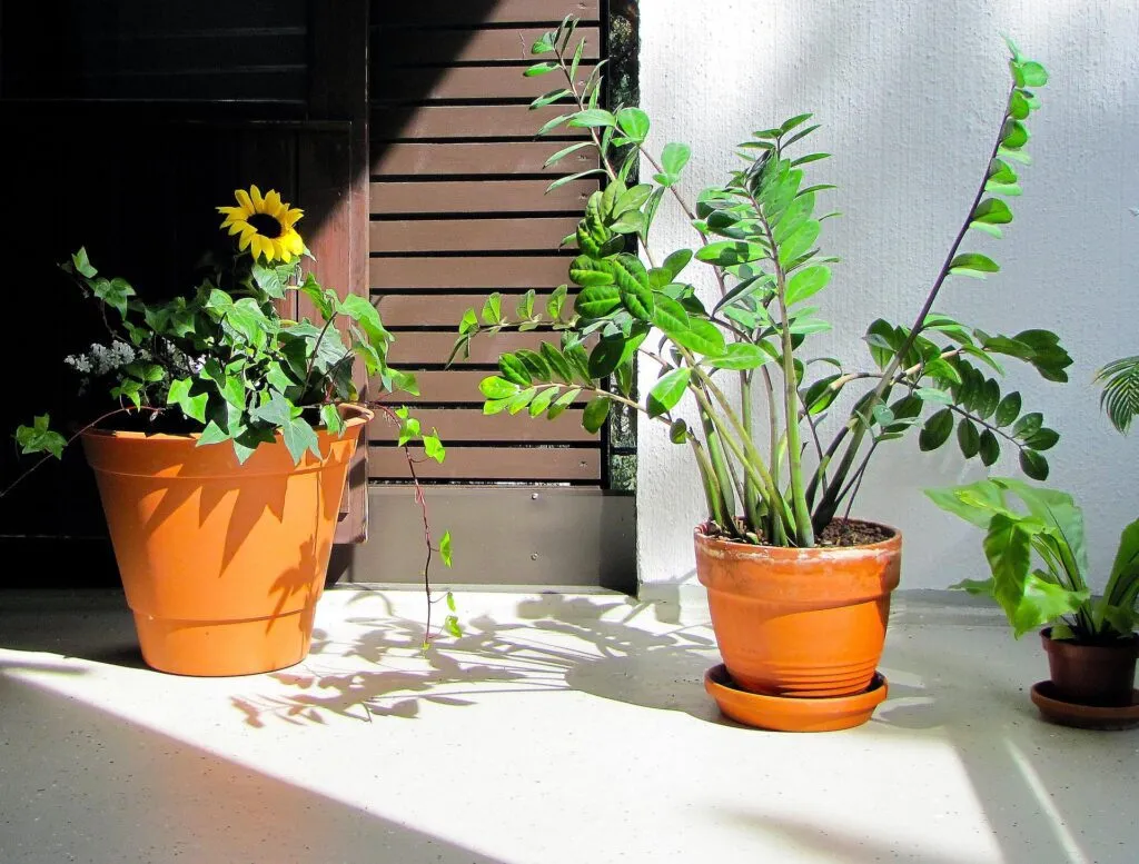 Como harmonizar os ambientes com as flores certas e nas cores adequadas 1 flores 2