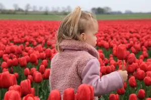 As 10 flores mais lindas do mundo e os segredos que as tornam únicas