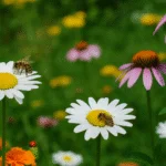 3 animais que fazem bem para o seu jardim e você precisa conhecer